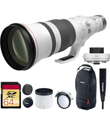 Amazon.com: Canon EF 600mm f/4L is III USM Lens (3329C002) Bundle